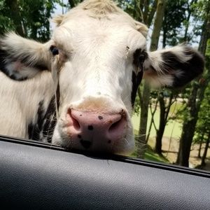 Meet your Posher, Sherry